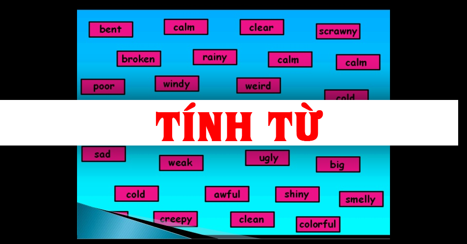 tu-loai-tieng-anh-tinh-tu