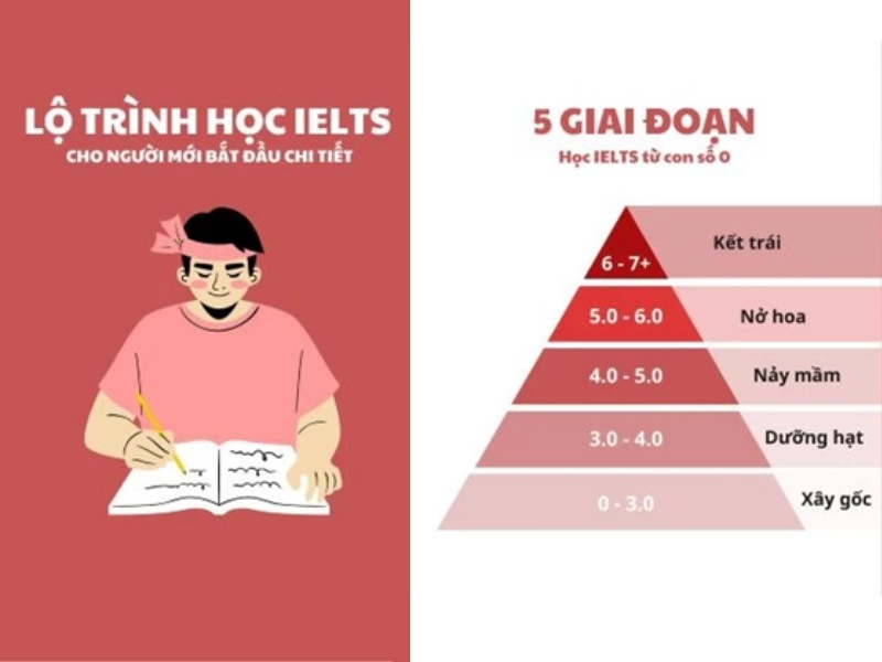 3 phương pháp luyện thi IELTS tại nhà hiệu quả nhất